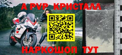 прущие грибы Конаково