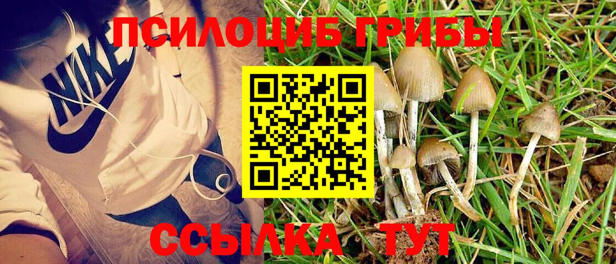 Псилоцибиновые грибы ЛСД Трёхгорный